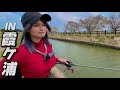 春バス求めてきたのに、入水がデフォになってきた女・・・　[霞水系]#釣りガール #霞水系 #bassfishing
