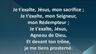 Video thumbnail of "JEM 512 Tu es saint, agneau de Dieu"