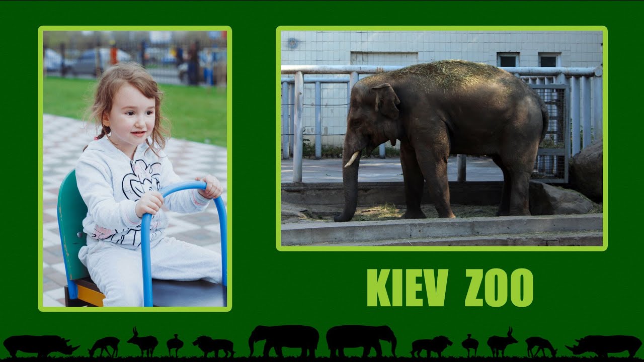 Зоопарк Киева - Kiev Zoo