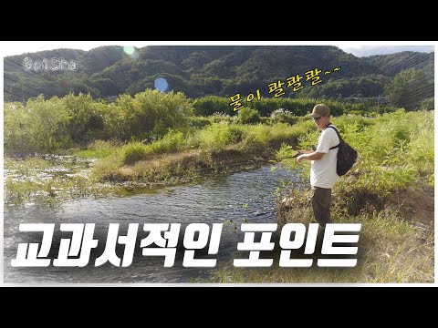 [<strong>feat</strong>. 박성완] <strong>korea</strong> bass