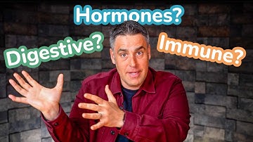 What Body System Is Causing Your Fatigue?