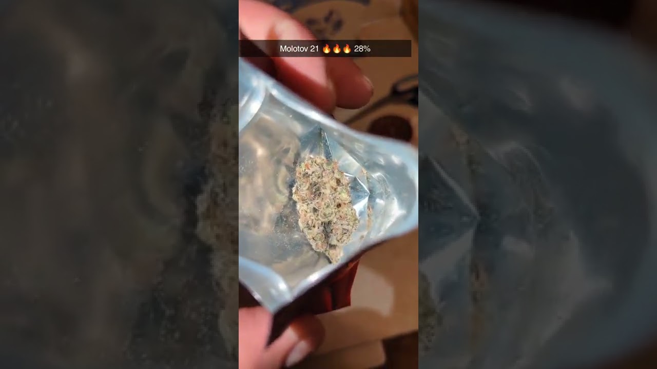 Molotov 21 - 28% THC