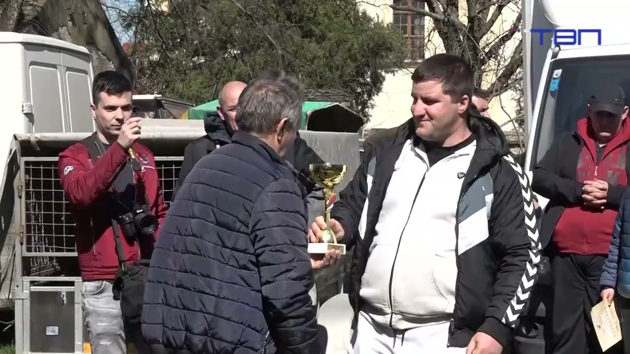 TV Pančevo - U Dolovu održana 15. smotra ovnova