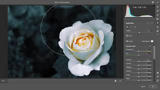 How to make White Rose In photoshop cc screenshot 5
