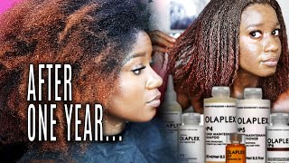 A Lawsuit?! 😥 Can The MAXIMUM HYDRATION METHOD Fix This??! OLAPLEX After A Year