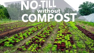 I Stopped Buying Compost for Two Years