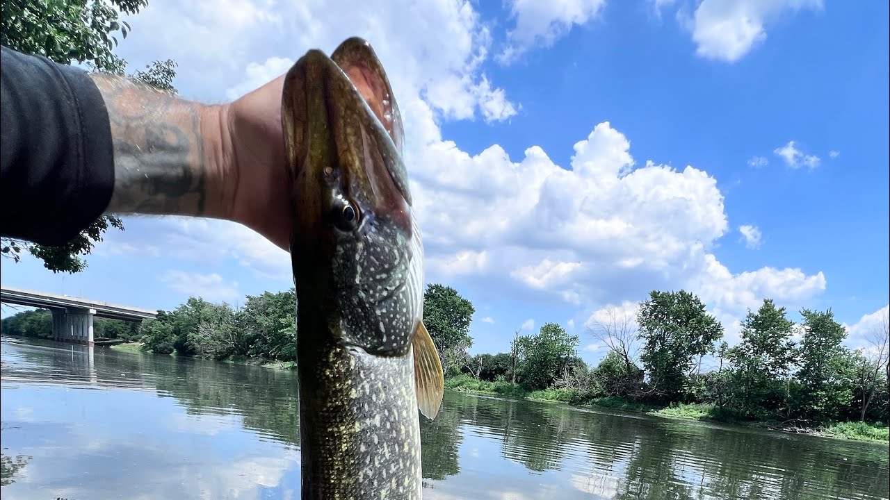 7.3.25 DPR Bridges & Drains