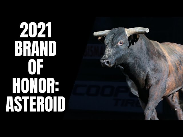 2021 Brand of Honor: Asteroid - YouTube