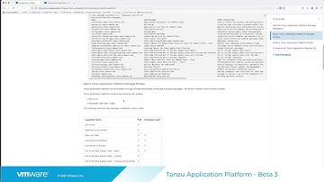 Tanzu Application Platform - Beta 3 Install Walk-through