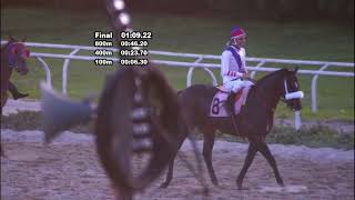 Vidéo de la course PMU PRIX SALTO DEL ANGEL