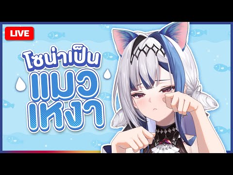 video thumb