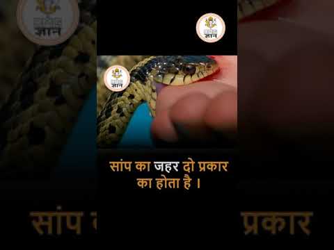 रोचक जानकारी #shorts