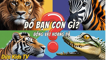 Đố Bé Động Vật Hoang Dã | Khám Phá 23 con vật Cho Bé: Sư Tử, Voi, Tê Giác- Video Giáo Dục Cho Trẻ Em