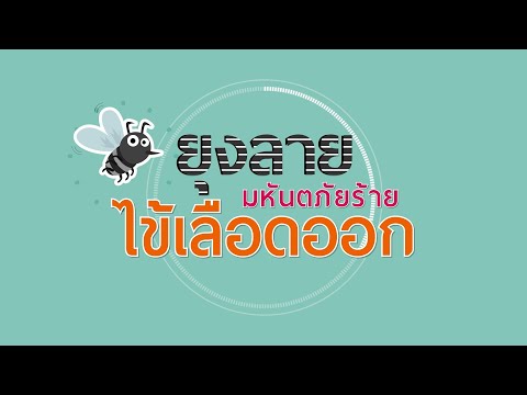 ศูนย์สุขภาพนครธน - ยุงลาย มหันตภัยร้ายโรคไข้เลือดออก | โรงพยาบาลนครธน