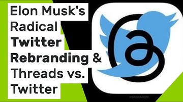 X Marks the Spot - Elon Musk