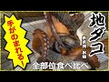 【タコも本望】地ダコの全部位食べてみた