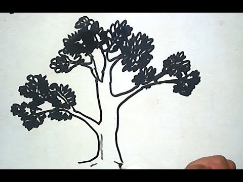 Cara Menggambar  sebatang Pohon  How to Draw a Tree YouTube