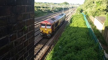 Class 66 approaching signal at danger