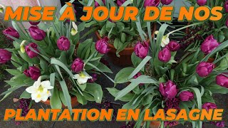 QUE FAIRE DES BULBES D'HIVER ET DE PRINTEMPS L'ÉTÉ ? - Que Faire Dans Mon Jardin ?