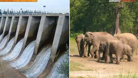 NCERT CBSE Class 7 Civics Chapter 10 Struggles For Equality Part 1