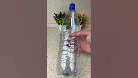 Как избавиться от мух