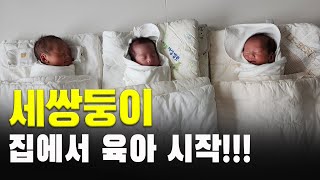 세쌍둥이 현실 육아ㅣ조리원 안가고 집에서 산후조리ㅣ신생아 육아 브이로그ㅣ모유수유 유축 지옥ㅣ저출산ㅣ애국자ㅣㅣVLOG