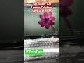 सिर्फ़ 10 हज़ार में i5 लैपटॉप ख़रीदें | #shortvideo #likeforlikes #zindabandasong #shahrukh_khan