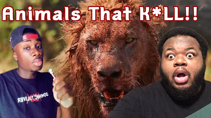 @mndiaye_97 | When Animals Become Serial Killers (REACTION) #casualgeographic #animals  😳🦁