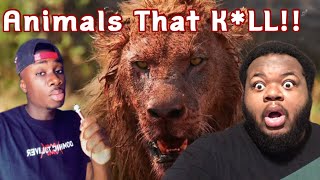 @mndiaye_97 | When Animals Become Serial Killers (REACTION) #casualgeographic #animals  😳🦁 Wealth
