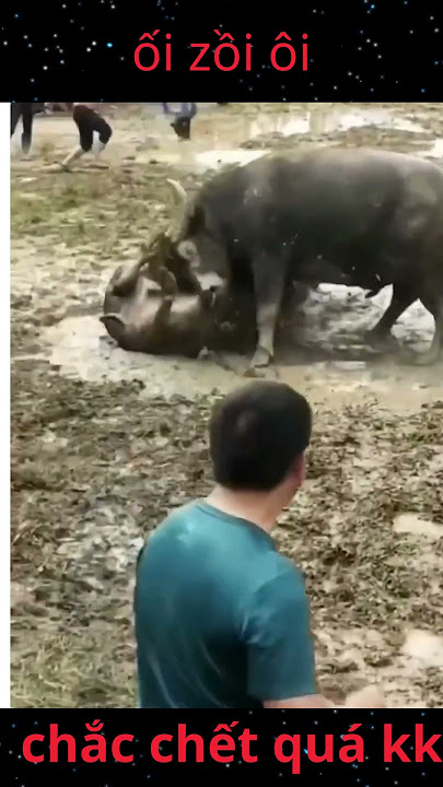 Ối dồi ôi! Pha ra đòn 