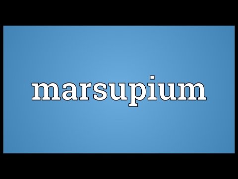 Marsupium Meaning