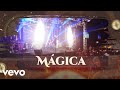 Baú da Malla - Mágica (DVD Ao Vivo em São Paulo)