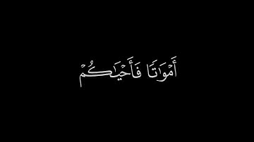 ﴿كيف تكفرون بالله وكنتم امواتاً ﴾🍁كروما شاشة سوداء قرآن كريم 🍁 القارئ ياسر الدوسري   🍁 سورة البقرة