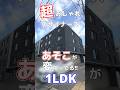 【ファスト内見】あれがすごいお部屋！！水回りお洒落なデザイナーズ物件 #札幌 #賃貸 #不動産 #北海道 #物件 #エフズライフ #shorts