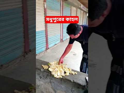 টাংগাইলের আঞ্চলিক #shortvideo