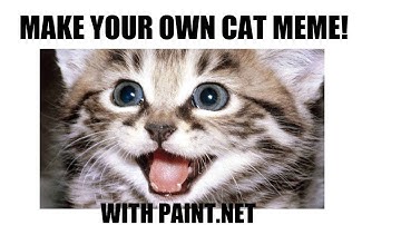 Make Your Own Cat Meme! (with paint.net)