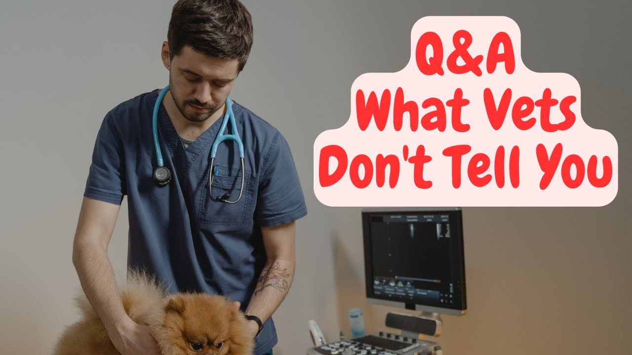 Q&A. Things Vets Don't Want You To Know, Monthly Worming Treatments