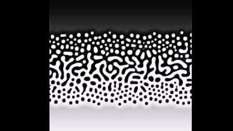 spectral simulation of the cahn hilliard equation in a two dimensional box