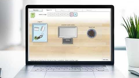 OpenSTEM Labs | Rat training laboratory