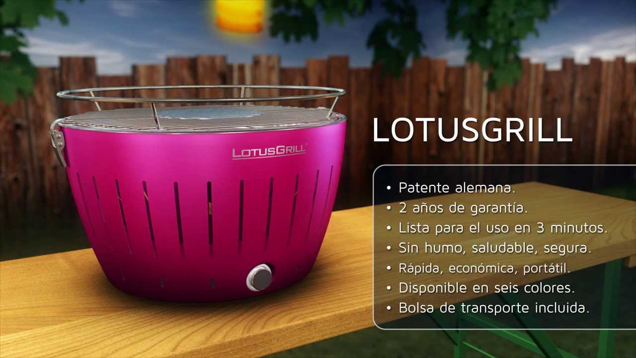 LotusGrill Torre fundida para bajo humo Parrilla de carbón de leña incl.  Placa, 4 Piezas Pinzas para parrilla, Herramienta de eliminación, Recetas -  acogedoras y atmosféricas Preparar carne Verduras : : Otros  Productos