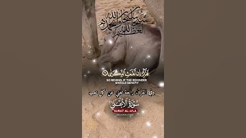 تلاوة خاشعة عطرة مباركة جميلة عذبة للشيخ ماهر المعيقلي ماتيسر من سورة الأعلى