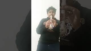 Forte Rocha CCB hino 31 hinario 5 #musica #hinosccborquestrado #music #music #musicosccb #flute #cov