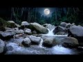 🪷 Water Meditation, Harp Music, River Ambience, Sleep Music Healing 🌊 Crystal River Escape #relaxi