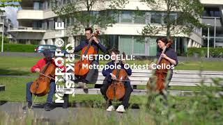 Canto Triste Metrople Orkest Cellos De Maaspoort Venlo