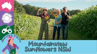 Aunty Visits Mountainview Sunflowers