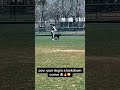 The dog has been recruited after this video 🔥#shorts
