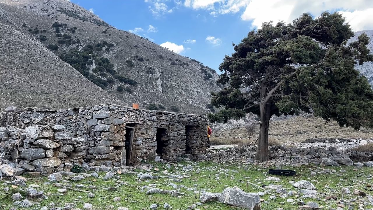 Καβούσι-Αύγος-Λιμνιά-Μέλισσες-Μνημειακή Ελιά Καβουσίου