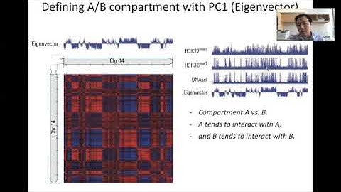 STAT115 Chapter 15.5 Chromatin Compartments