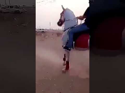 ولله رجل ماشالله تبارك الله