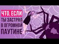 Что, если ты застрял в огромной ПАУТИНЕ?